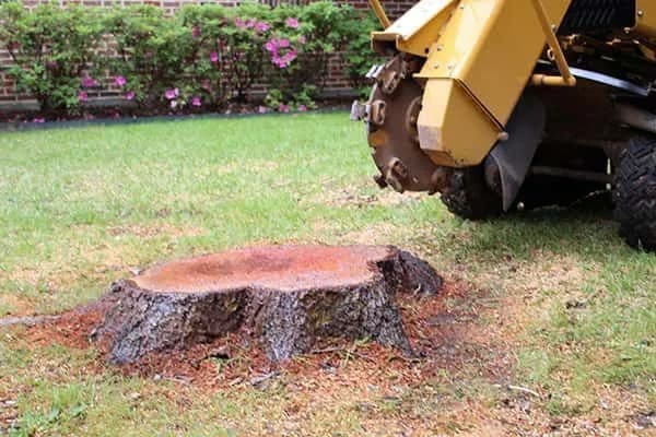 Cleanups, Stumps & Drainage by Land & Stone in Belleview, FL